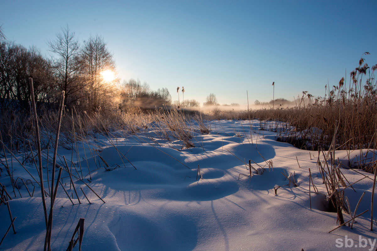 Оранжевый уровень опасности объявлен в Беларуси на 14 января из-за сильного ветра