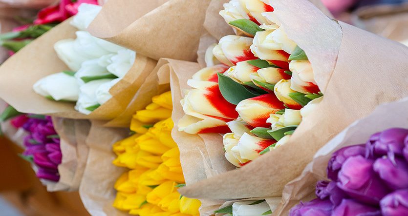 Тюльпаны будут уже к 14 февраля: сколько цветов готовится поставить тепличный комбинат