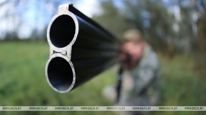 Сезон охоты на пернатую дичь открывается в Беларуси