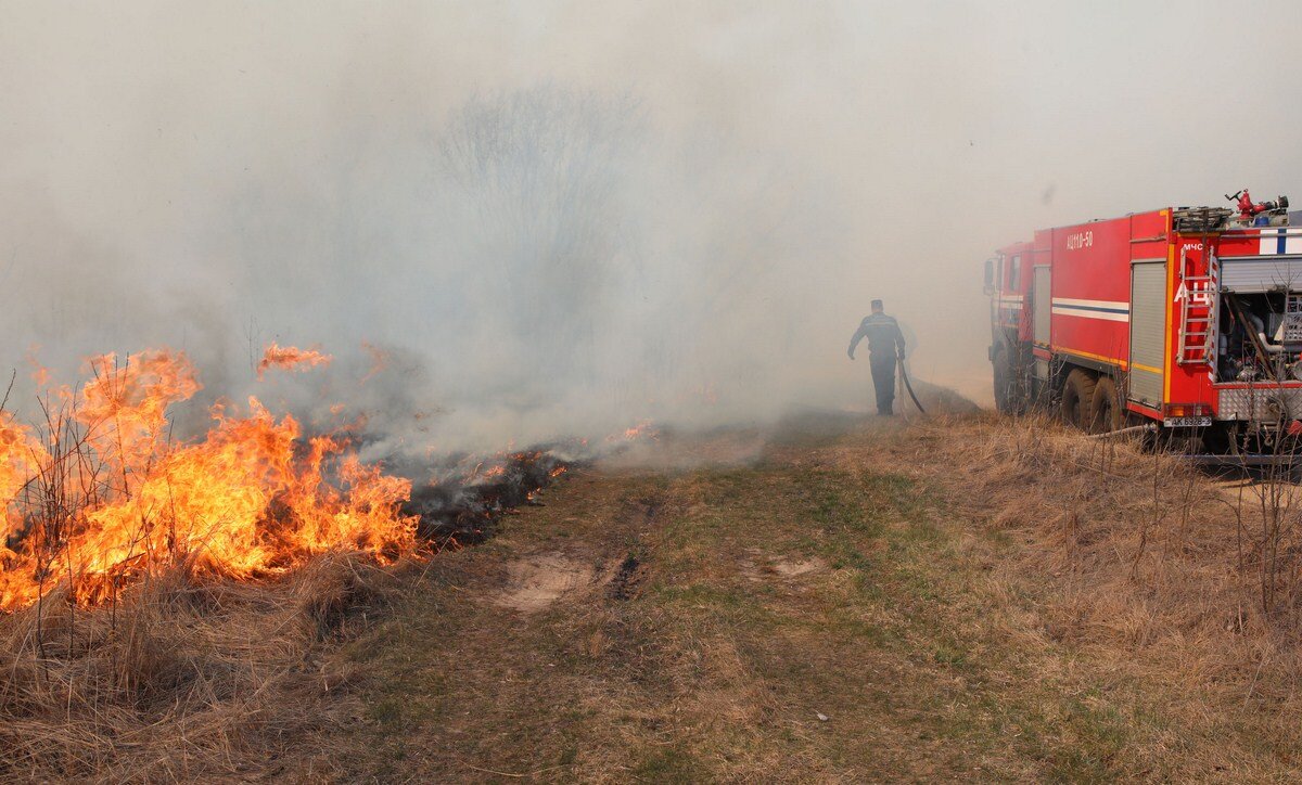 В МЧС напомнили об опасности сжигания сухой растительности