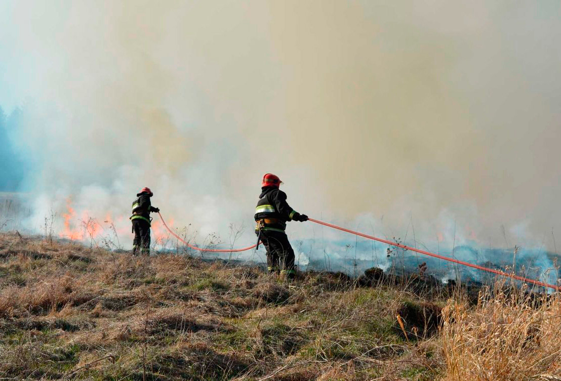 В Беларуси за сутки ликвидированы 49 пожаров травы и кустарников