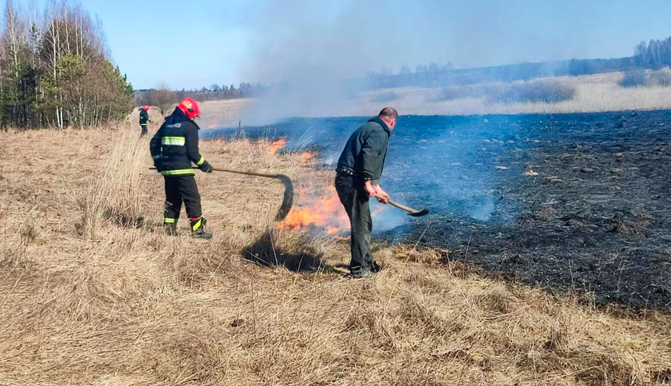 В Беларуси за сутки потушили 33 пожара травы и кустарников