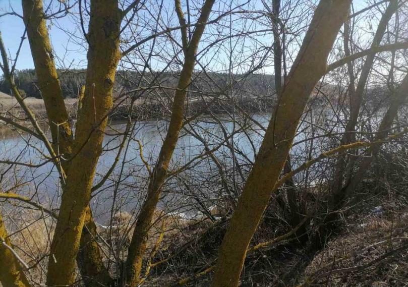 Преимущественно без осадков и -4°С — погода 9 марта в Могилевской области