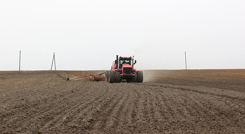 Ранние яровые посеяли в Беларуси на 74% площадей