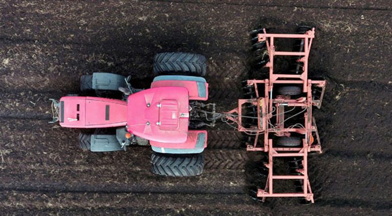 Белгидромет: из-за дождей рост озимых культур и многолетних трав замедлится