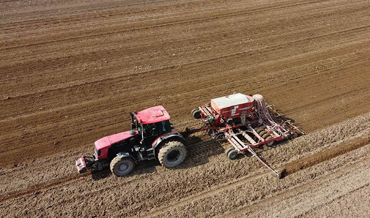 Ранние яровые в Беларуси посеяли на 82,7% площадей