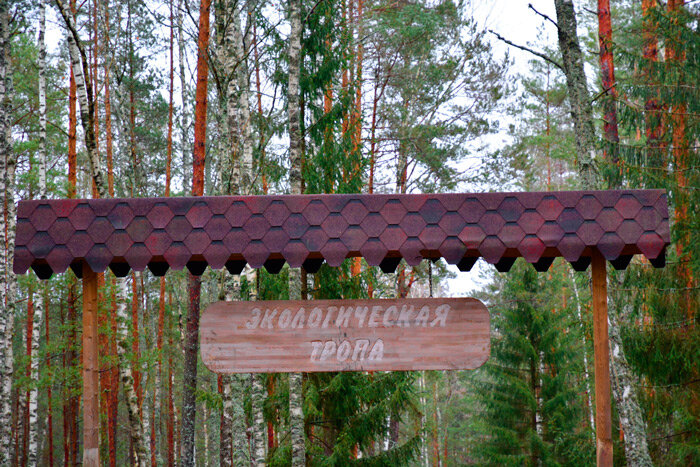 Минщина представит новые маршруты, культурные сокровища и местную кухню на форуме «Наследие Беларуси»