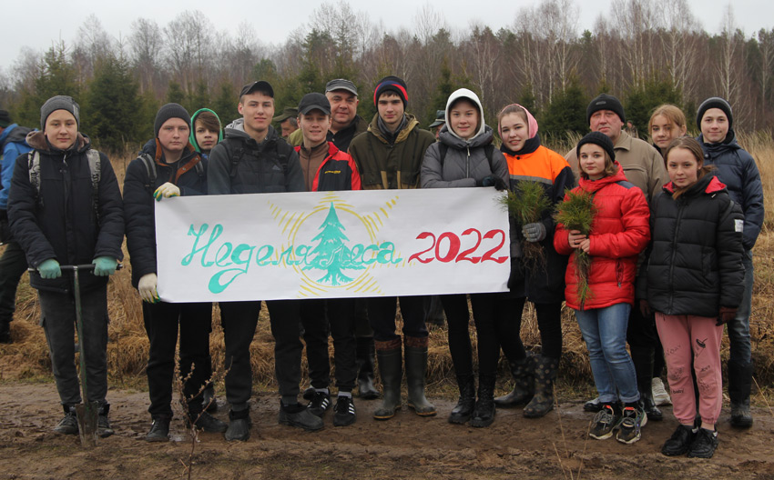 В республиканской акции «Неделя леса» участие приняли жители Круглянского района