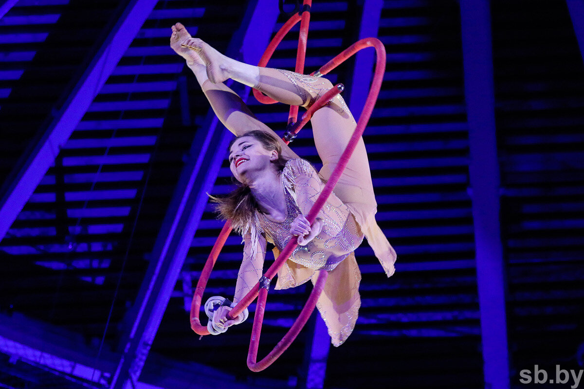 Цирки Беларуси и России заинтересованы расширить прямые связи