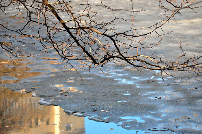 Оранжевый уровень опасности из-за сильных дождей объявлен на 20 апреля