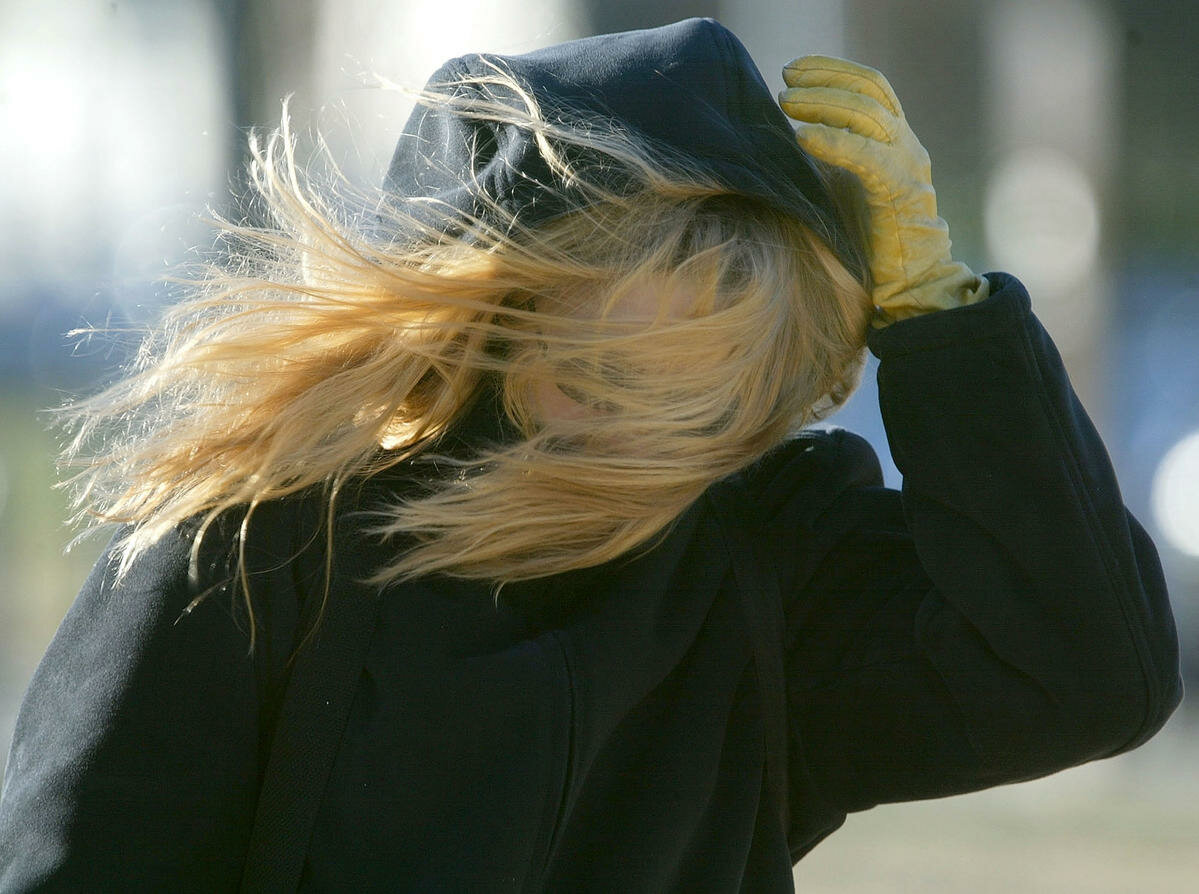 МЧС рекомендует при усилении ветра держаться вдали от шатких конструкций и деревьев