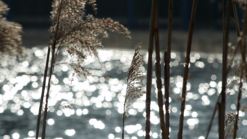 На большинстве рек Беларуси наблюдается понижение уровней воды