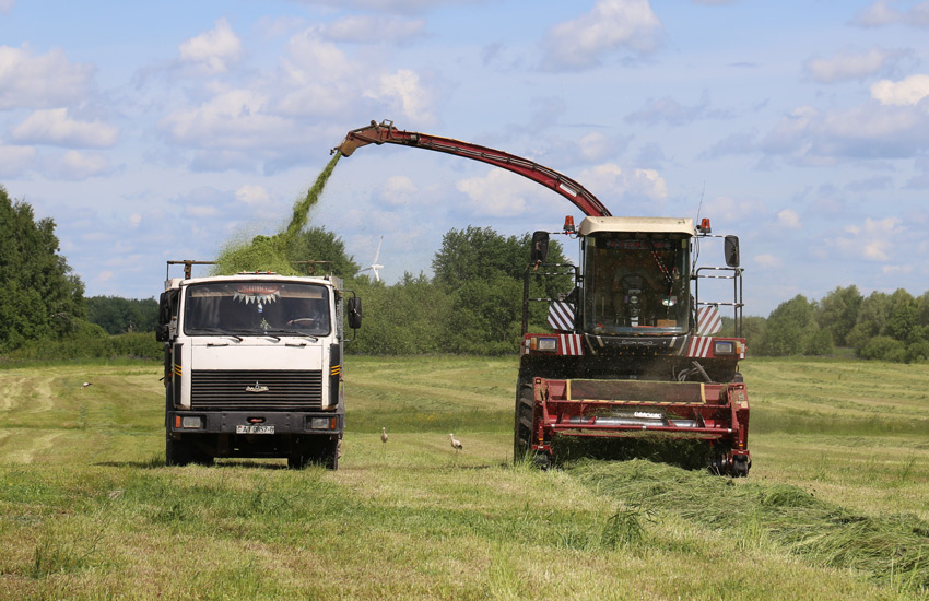 План по первому укосу трав выполнили в Брестской области