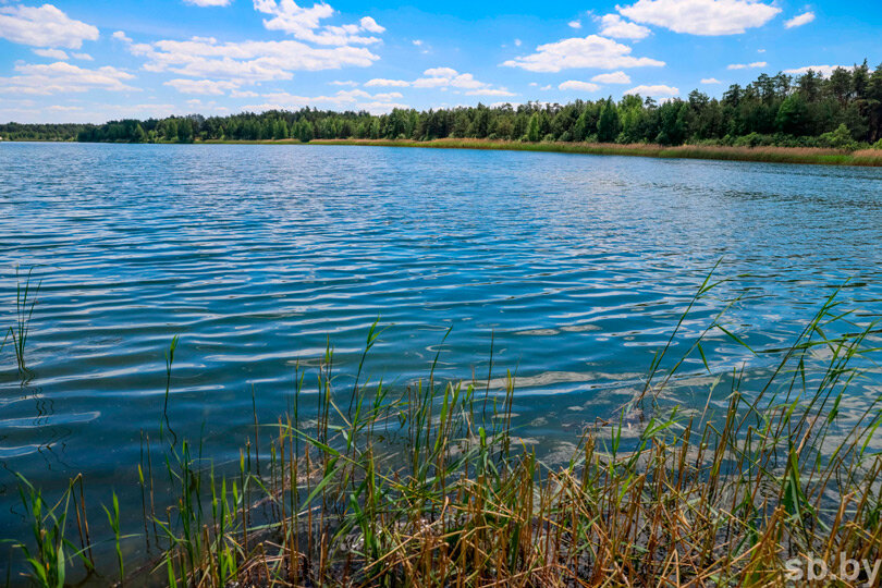 На 15 июня Белгидромет объявил красный уровень опасности