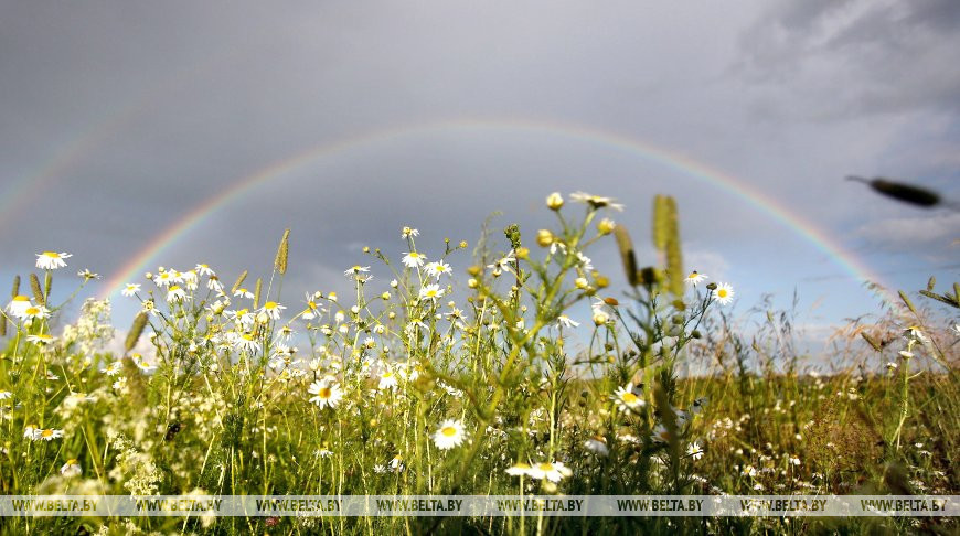 Дожди с грозами и до +33°С ожидается в Беларуси 2 июля