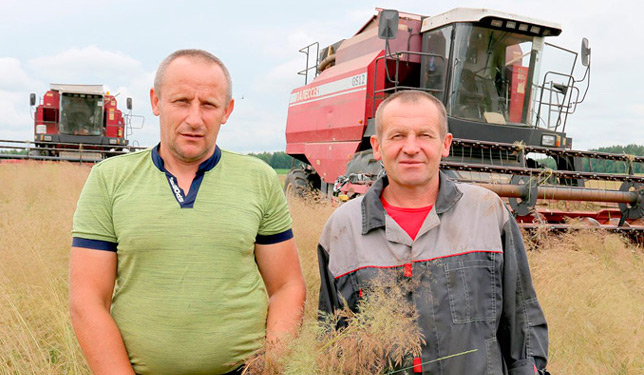 Комбайны – в поле
