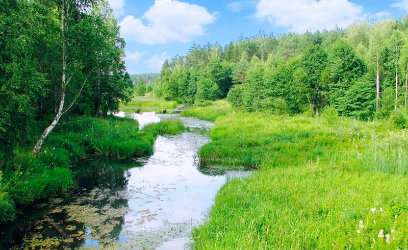 Прохладная с дождями погода: синоптики о второй декаде июля