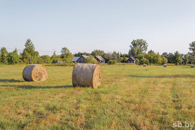 День Казанской иконы Божией Матери и другие традиции: народный календарь с 18 по 21 июля