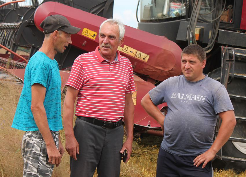 В Могилевской области убрали четверть площадей озимого ячменя
