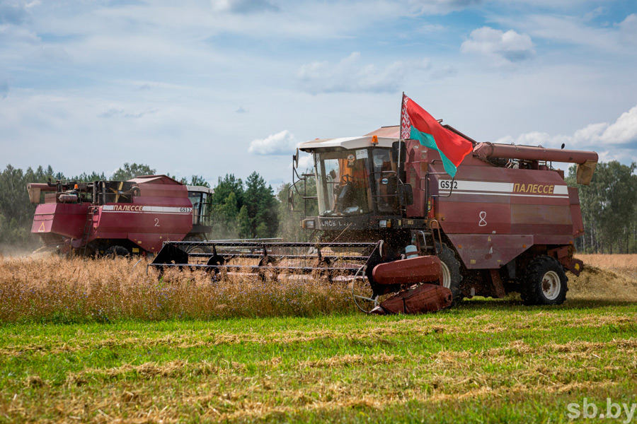 В Беларуси намолочено более 968 тыс. тонн зерна