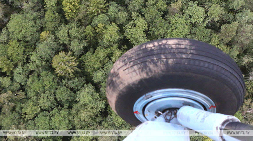Драгун: визуальный охват белорусских лесов гослесохраной и МЧС максимальный