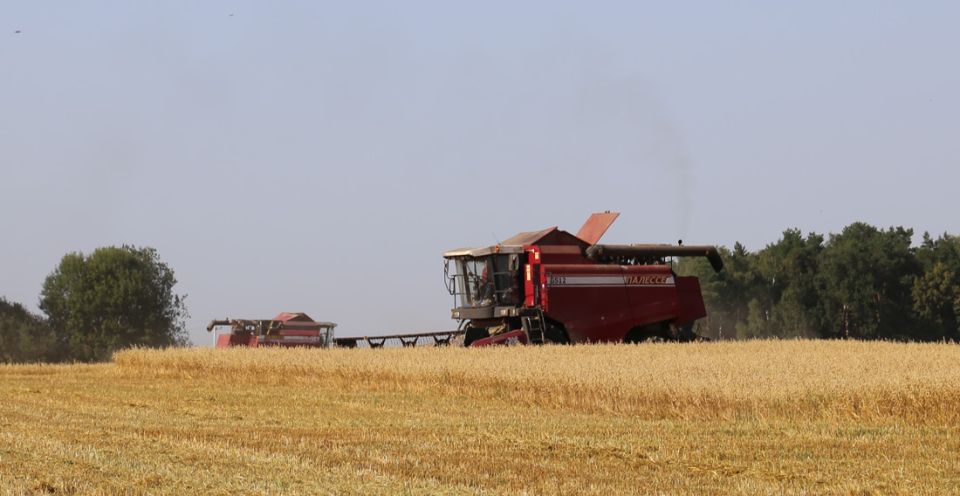 В Беларуси намолочено более 5,6 млн тонн зерновых колосовых, зернобобовых и рапса