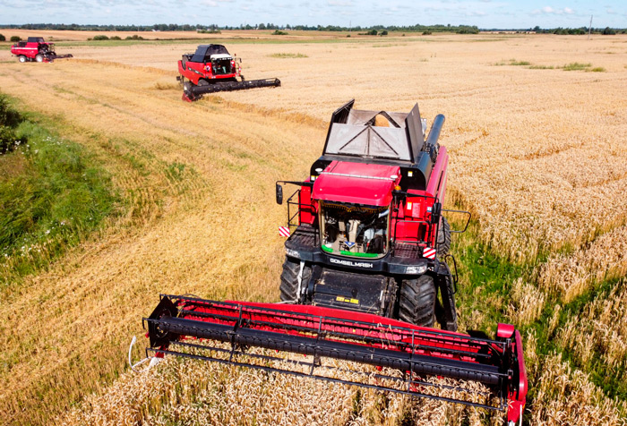 Жатва в Беларуси перешагнула экватор – зерновые убраны с 51 процента площадей