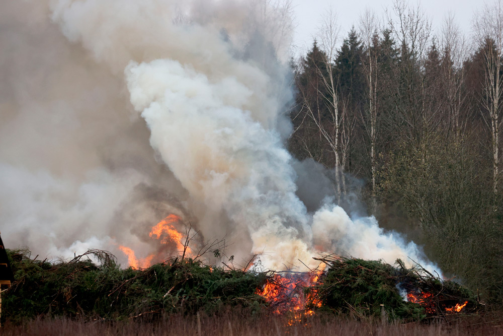 Два лесных и четыре пожара травы и кустарников потушены за сутки в Беларуси