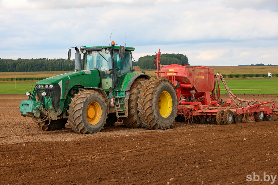 В Беларуси зерновые культуры посеяли на 54 процентах площадей