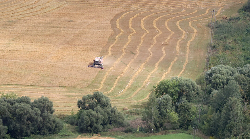 Какие нормы обновленного Кодекса о земле вступают в силу с 1 сентября