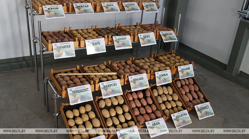 Головченко о сохранности урожая: необходимо строить высокотехнологичные хранилища нового типа