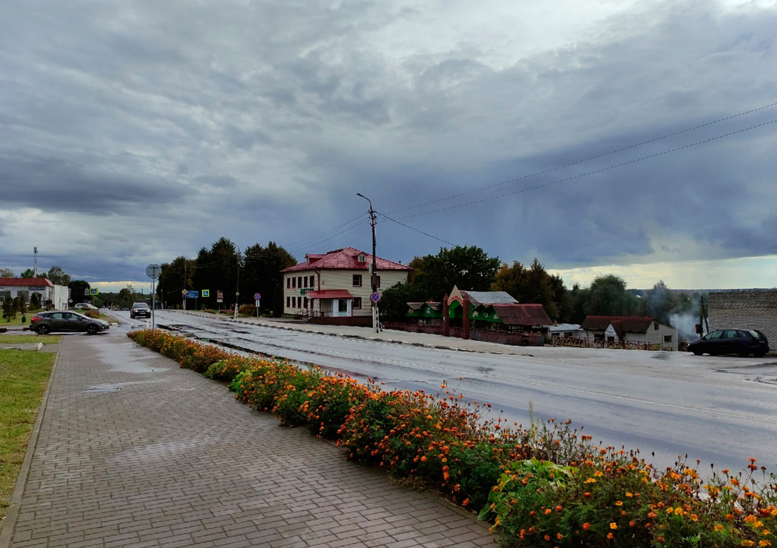До +17°С и дожди ожидаются в первой половине следующей недели в Могилевской области
