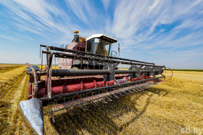 В Беларуси намолочено 9 миллионов тонн зерна