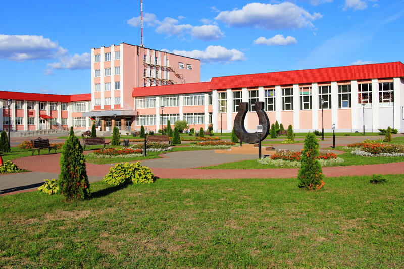 15 сентября – День библиотек