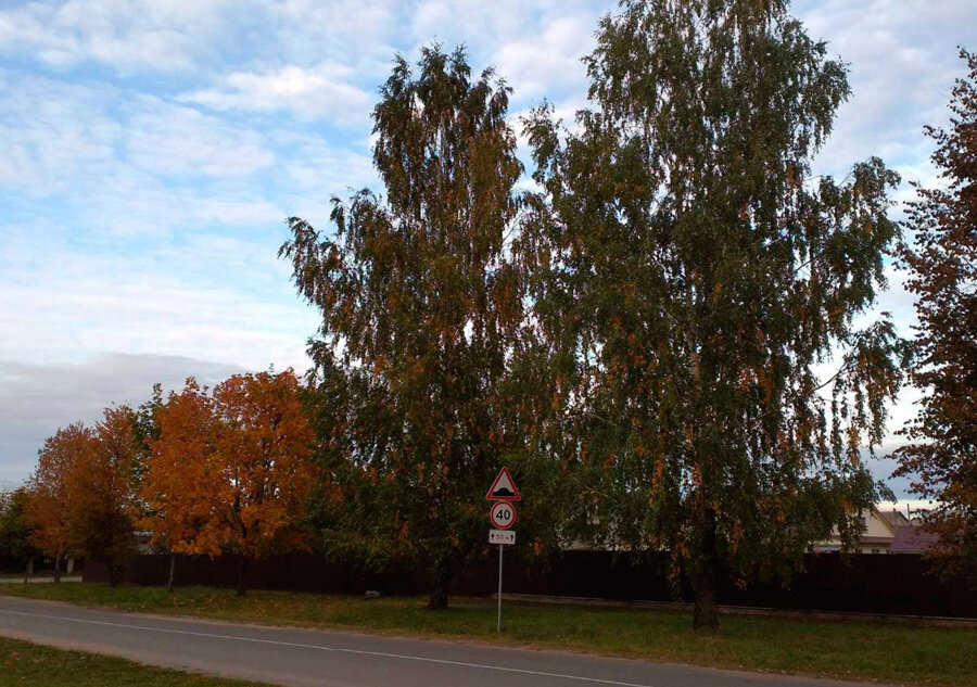 Агафонов день: что можно и нельзя делать 4 сентября