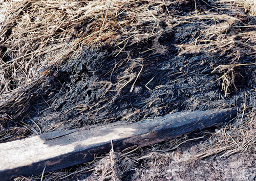 При сжигании мусора на приусадебном участке жительница Круглянского района получила ожоги