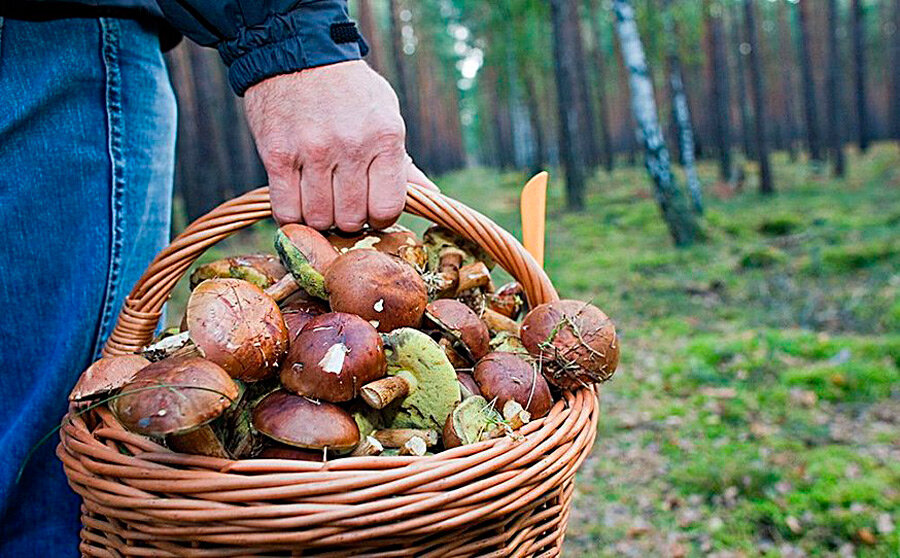 Выйти из леса помогали спасатели