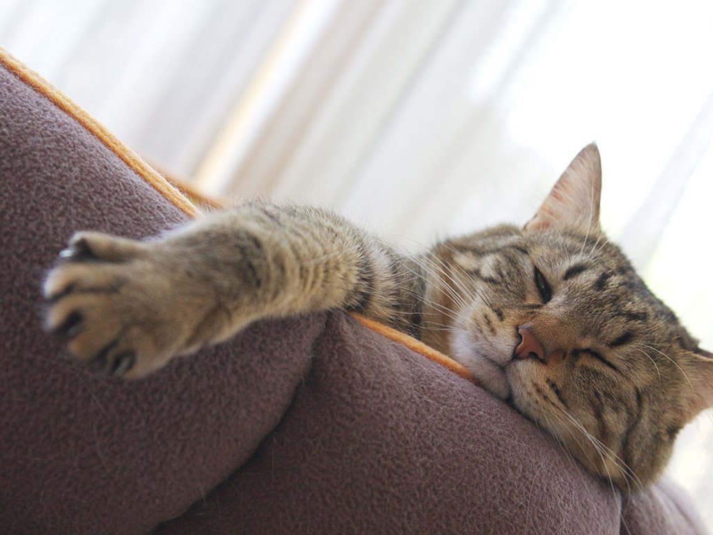 Когда белорусам ждать длинные выходные?