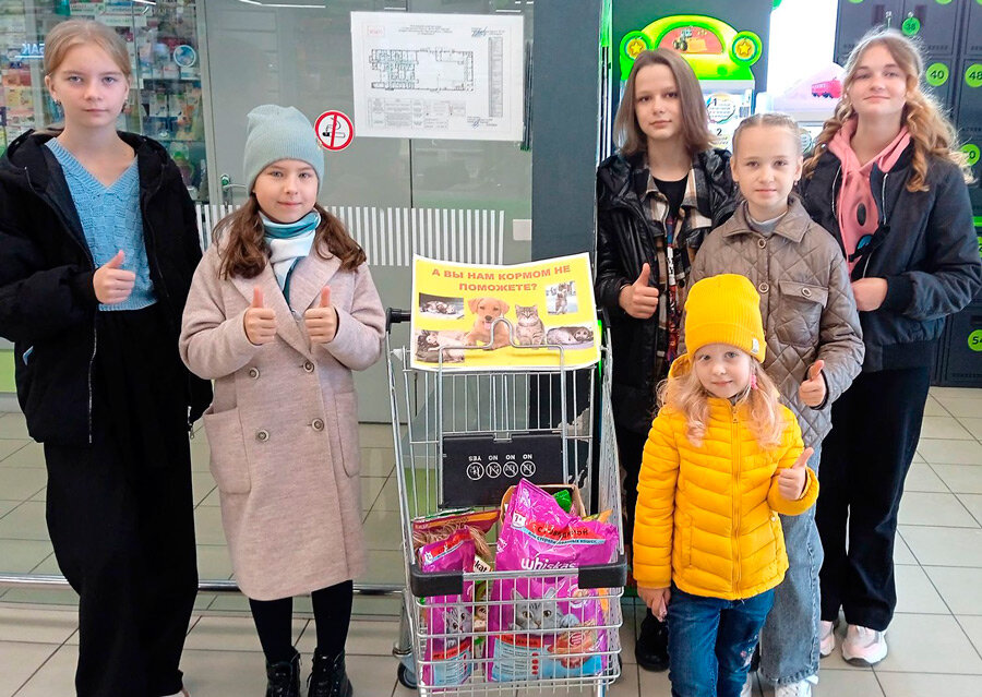 А вы нам кормом не поможете?