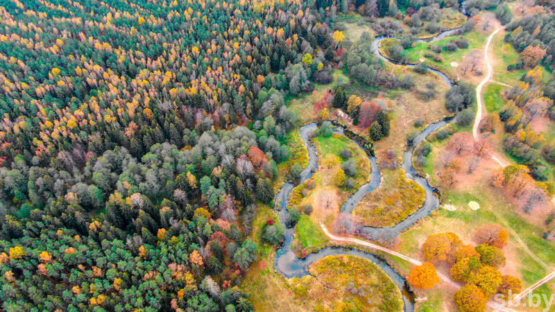 За прошедшие выходные в Могилевской области спасатели дважды искали заблудившихся в лесу