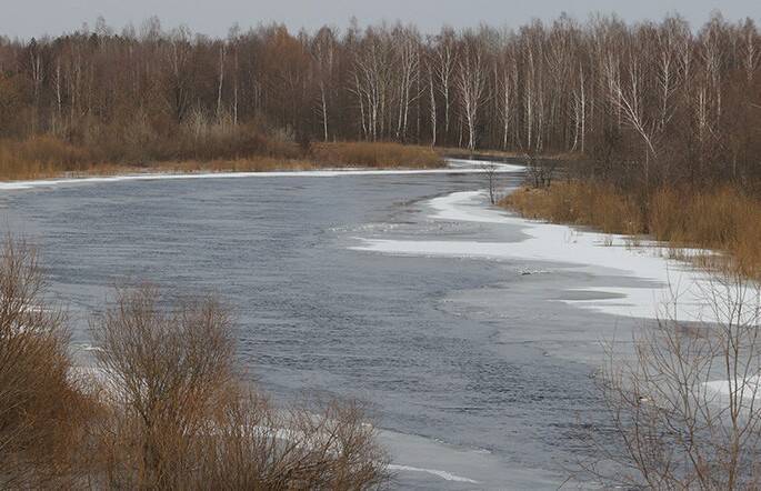 Белгидромет: на некоторых участках рек Беларуси появились ледяные образования