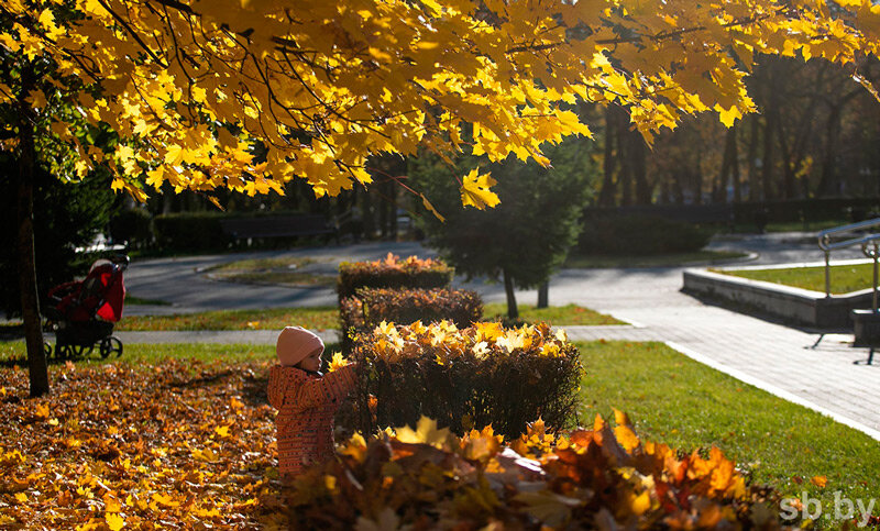 Погода 10 ноября: дожди, слабый туман и от +3 °С до +13 °С