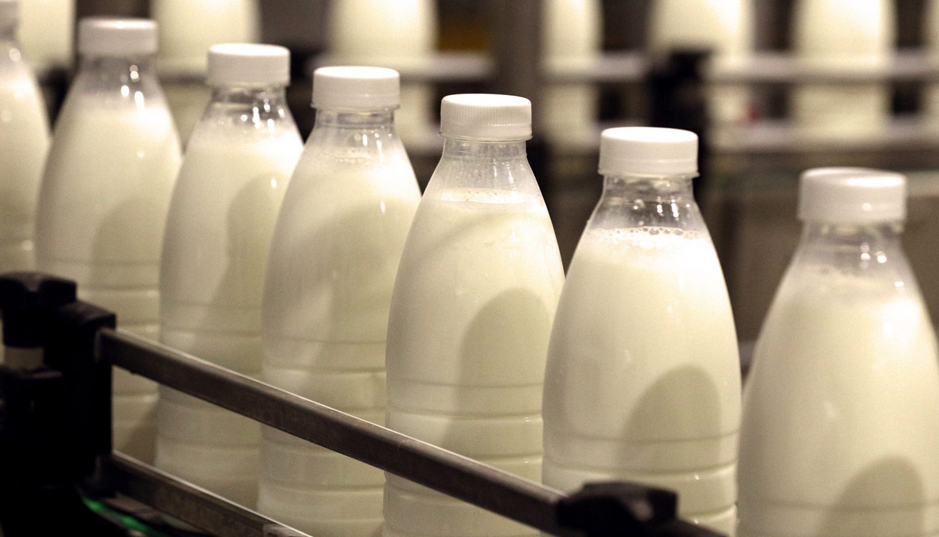 Минсельхозпрод изменил минимальные экспортные цены на молочную и мясную продукцию