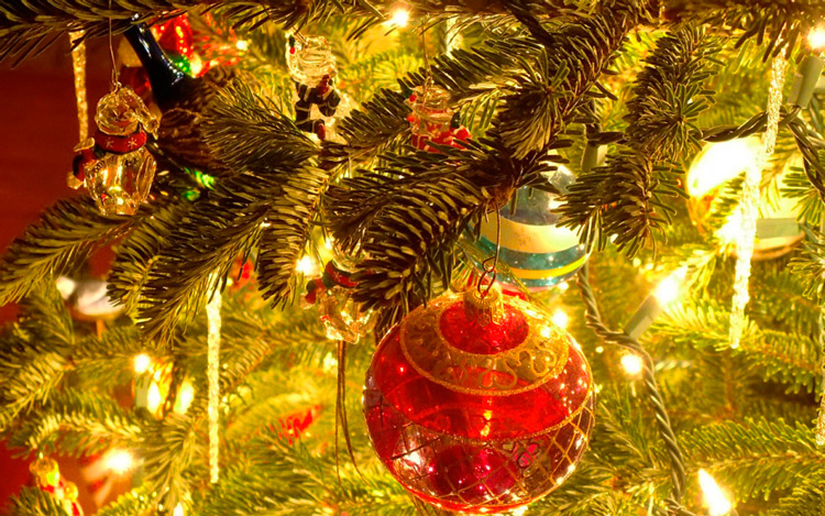 В Круглянском РОЧС напомнили, как правильно устанавливать новогоднюю ёлку