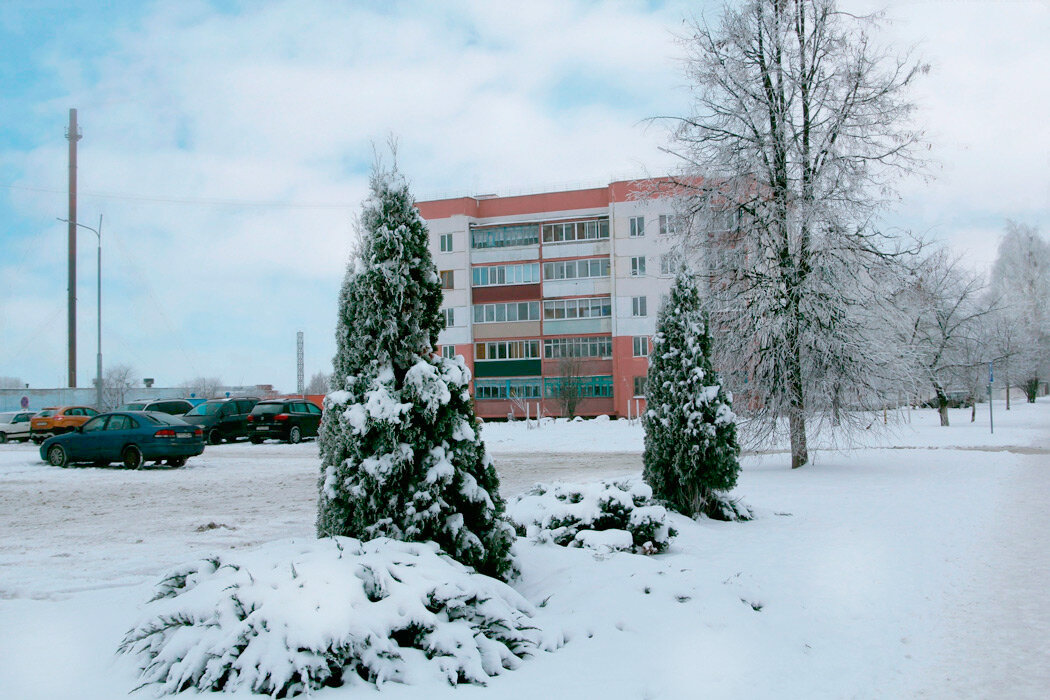 Снегопад и до +2°С прогнозируют в Беларуси 9 декабря