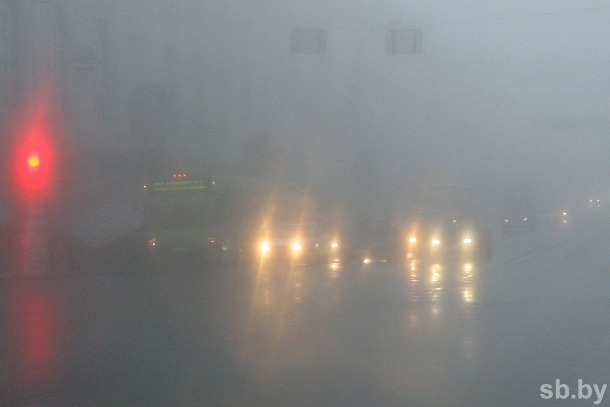 ГАИ поделилась с водителями правилами безопасной езды в туман