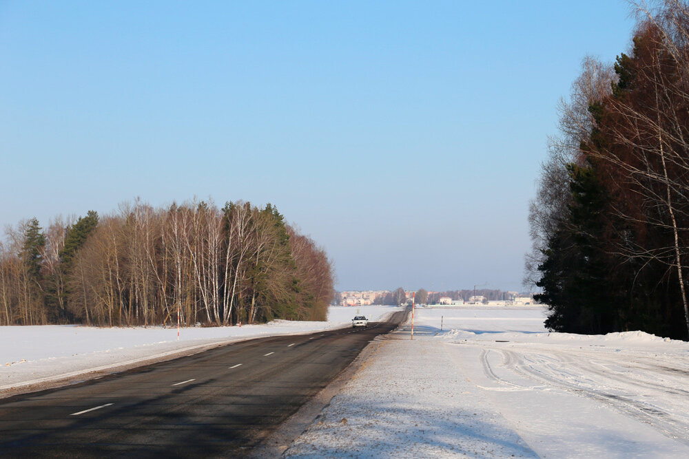 На 21 февраля в Беларуси объявлен оранжевый уровень опасности из-за сильного ветра