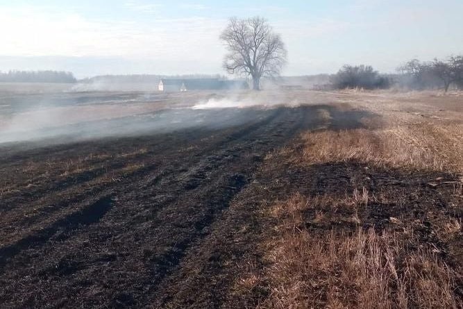 Выжигая растительность, вы сжигаете жизнь