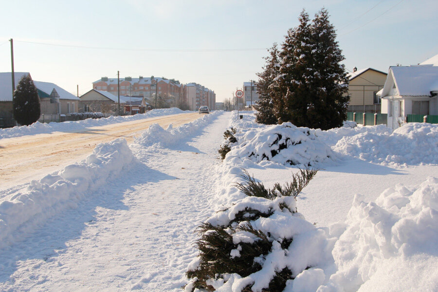 Порывистый ветер и до +6°С ожидается сегодня в Беларуси