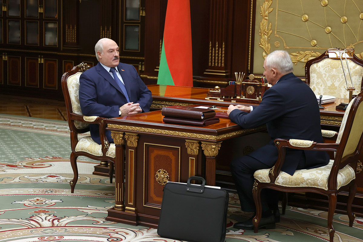 Лукашенко обсудил с Шейманом сотрудничество со странами Африки. Подробности разговора